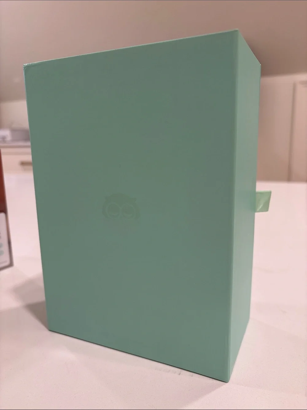 Owlet Dream Sock Baby Monitor & Sensor in Mint